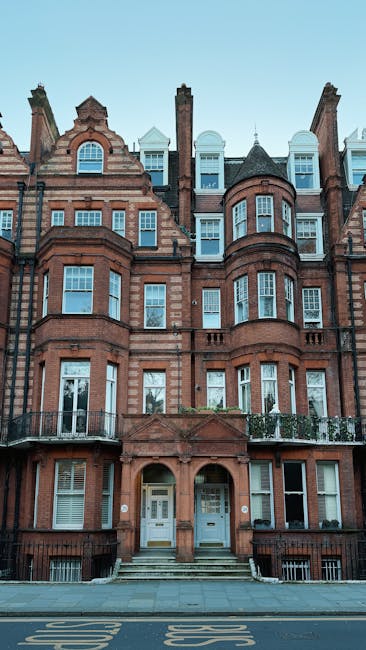 Two movers from Belgravia Movers are inside a well-lit room with white walls and large arched windows, engaged in a home relocation process. One mover, on the left, is smiling and holding a medium-siz