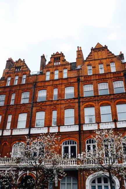 A multi-storey red brick building with white-framed windows and decorative architectural details, situated along Sloane Street in Belgravia. The ground floor features large arched windows and a white balustrade balcony, with flowering trees partially obscuring the lower part of the façade. The sky above is overcast, creating diffuse lighting that highlights the building's façade. This setting illustrates a typical London residential property, possibly part of a home relocation or moving process, with the building's exterior representing the type of property that Belgravia Movers may assist with in house removals and furniture transport within the area.